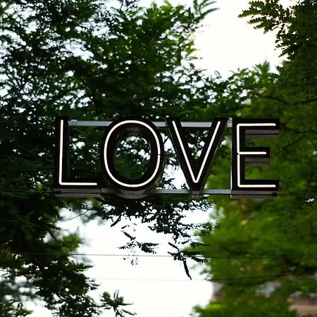 Rotterdam's Coolest *