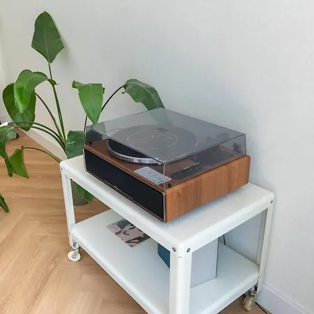 Rotterdam's Coolest 로테르담