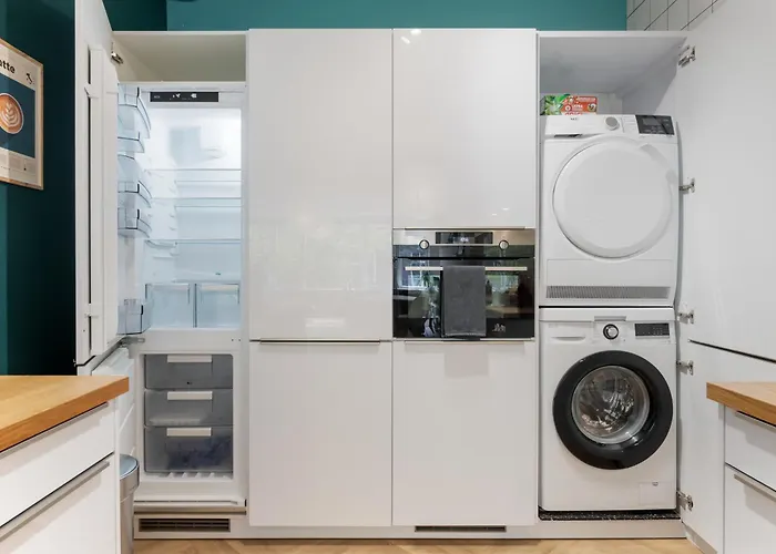 Rotterdam's Coolest * 로테르담