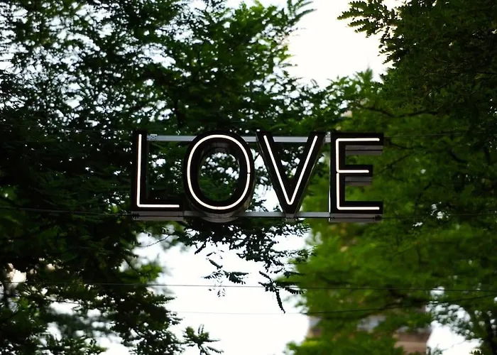 Rotterdam's Coolest *