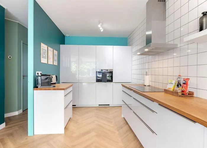 Rotterdam's Coolest *